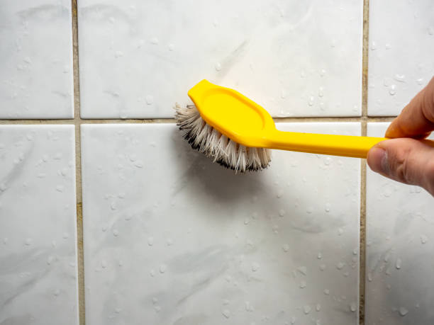 Best Fast Mold Removal  in Bristow, OK