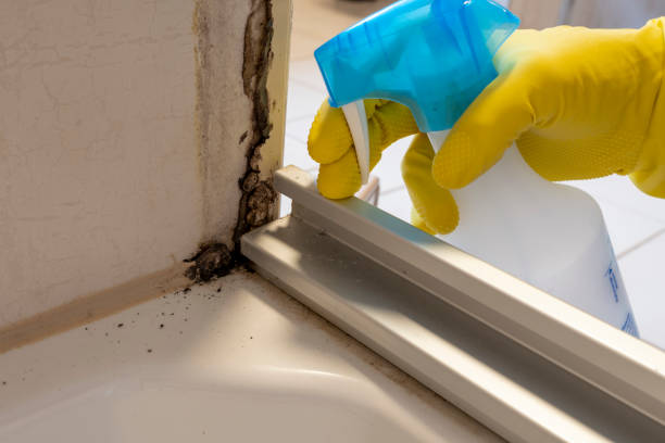 Best Residential Mold Removal  in Bristow, OK