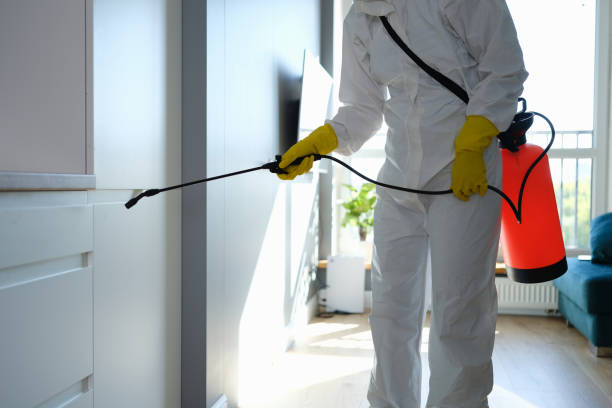 Best Mold Testing  in Bristow, OK