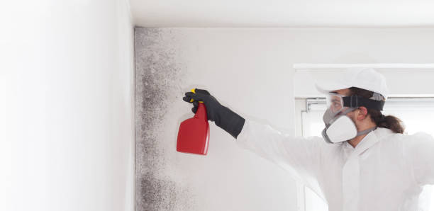 Best Office Mold Removal Services  in Bristow, OK